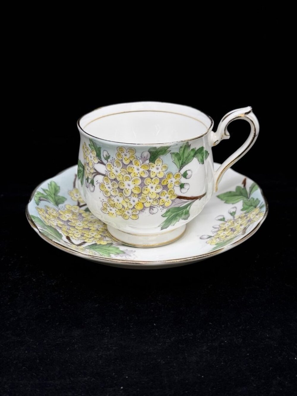 Royal Albert Hawthorn Tea Cup & Saucer Flower of the Month Bone China England #5